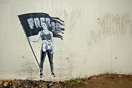 Bernhard Saalfeld - Freedom Fighter